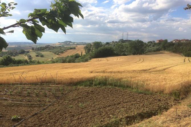 Rustico / casale a Castiglione del lago in Castiglion del Lago - Foto 5
