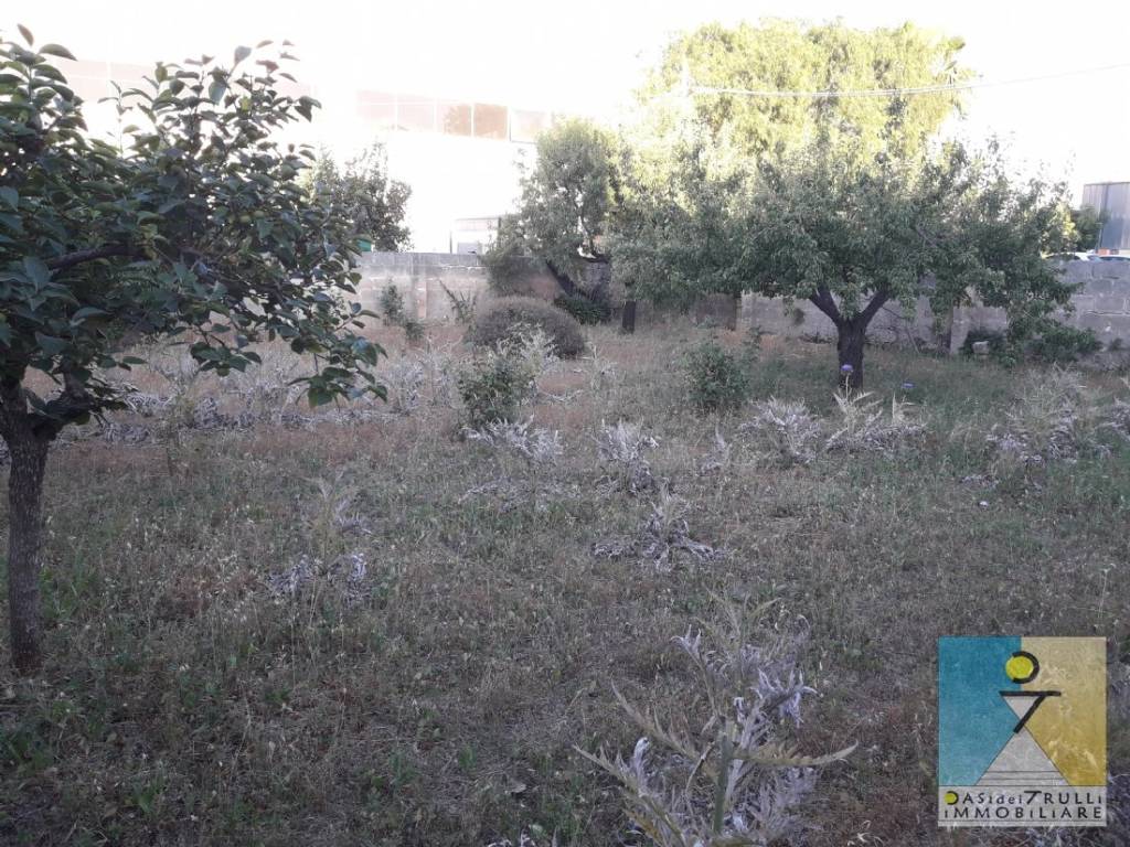 Terreno a San michele salentino in San Michele Salentino, periferia est - Foto 2
