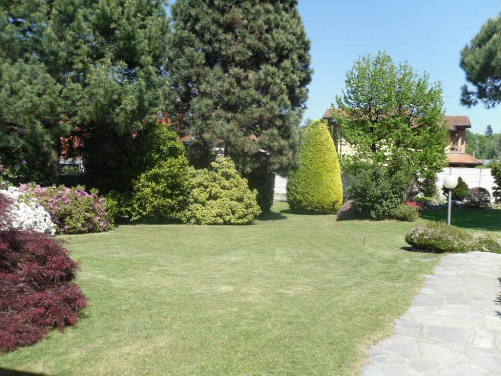 Terreno a Noventa padovana in Via Alcide De Gasperi - Foto 1