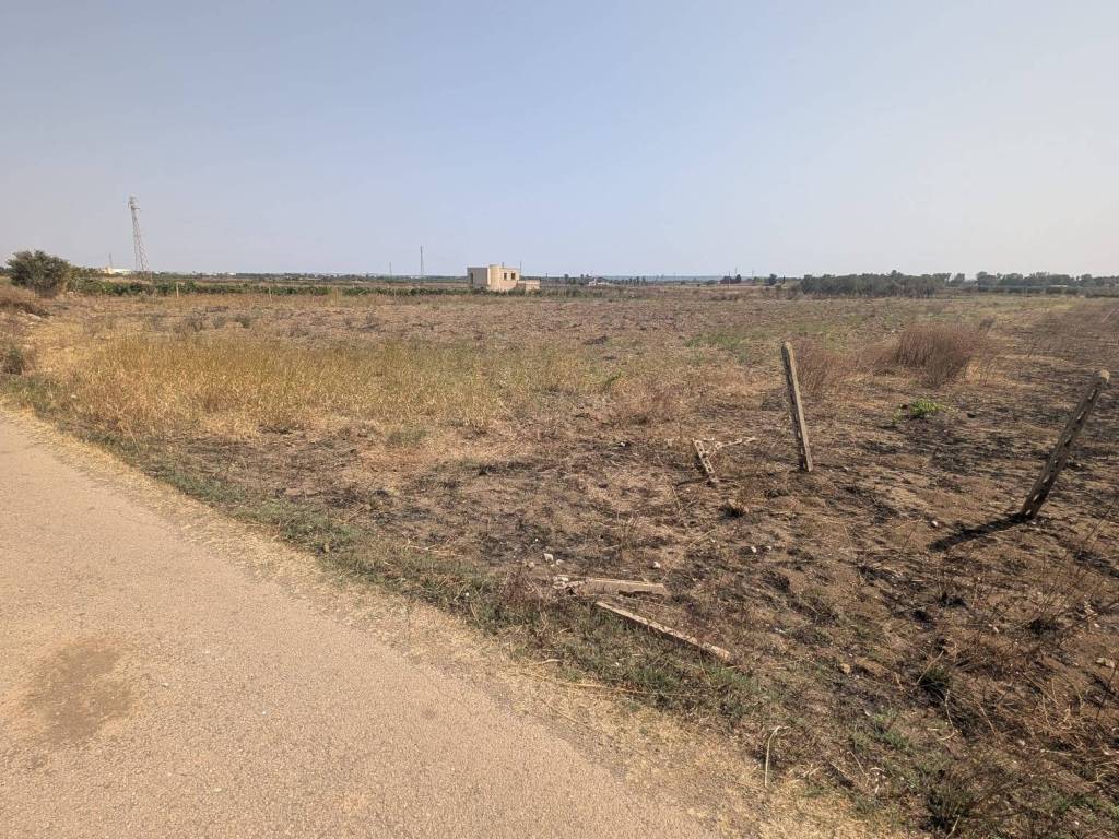 Terreno a Alliste - Foto 2