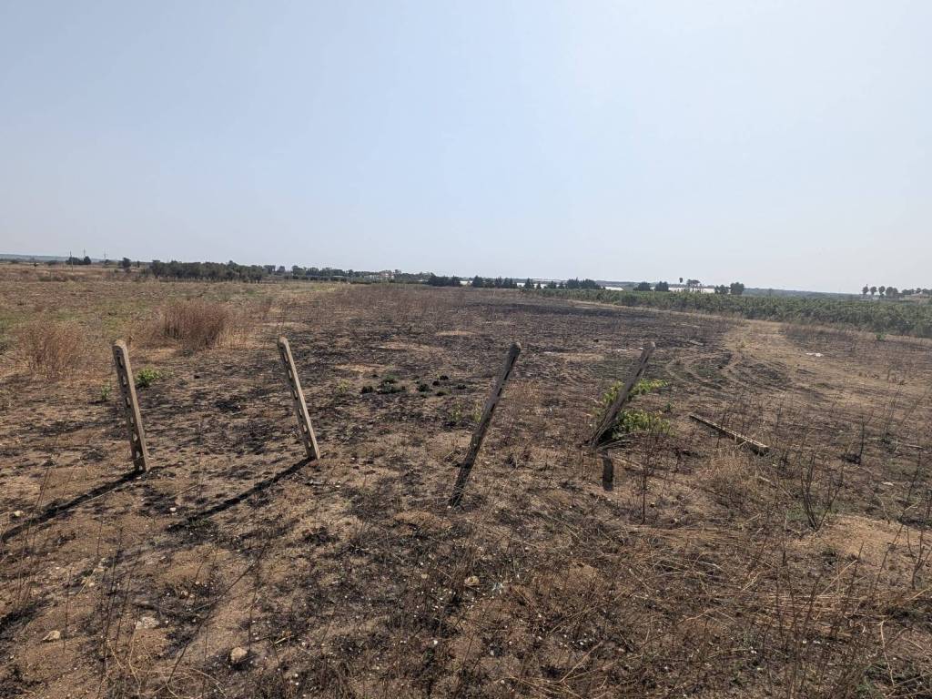 Terreno a Alliste - Foto 3