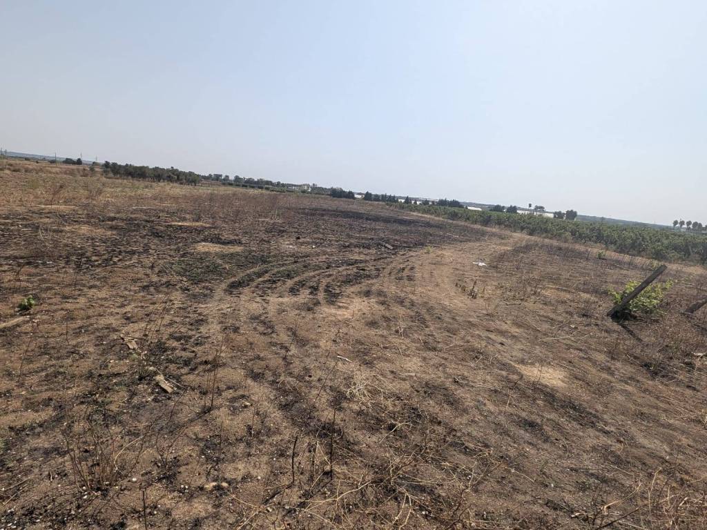 Terreno a Alliste - Foto 4