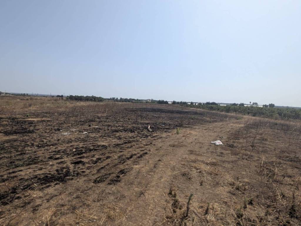 Terreno a Alliste - Foto 5