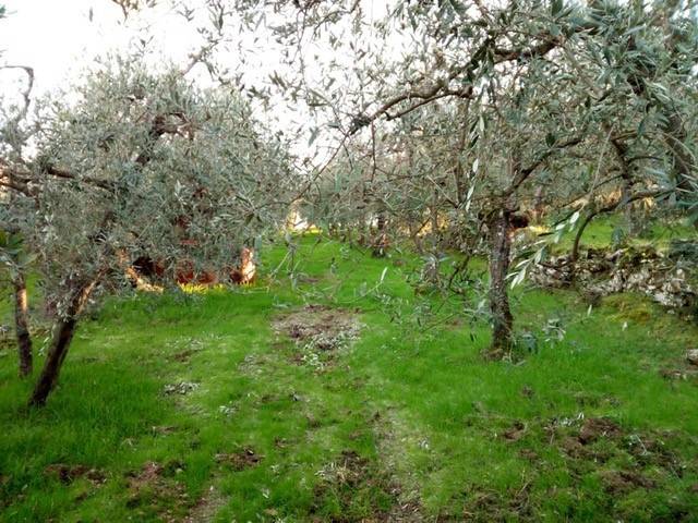 Terreno a Bucine in san leolino - Foto 2