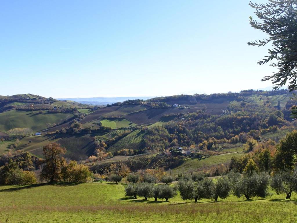 Rustico / casale a Castignano in Contrada Pittura - Foto 3