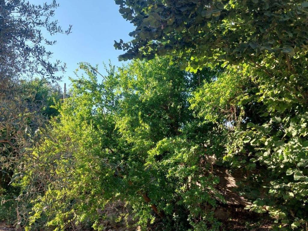 Terreno a Enna in Via Nazionale-Pergusa - Foto 3