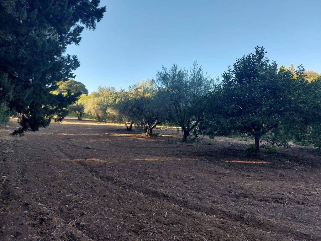 Terreno a Enna in Via Nazionale-Pergusa - Foto 4