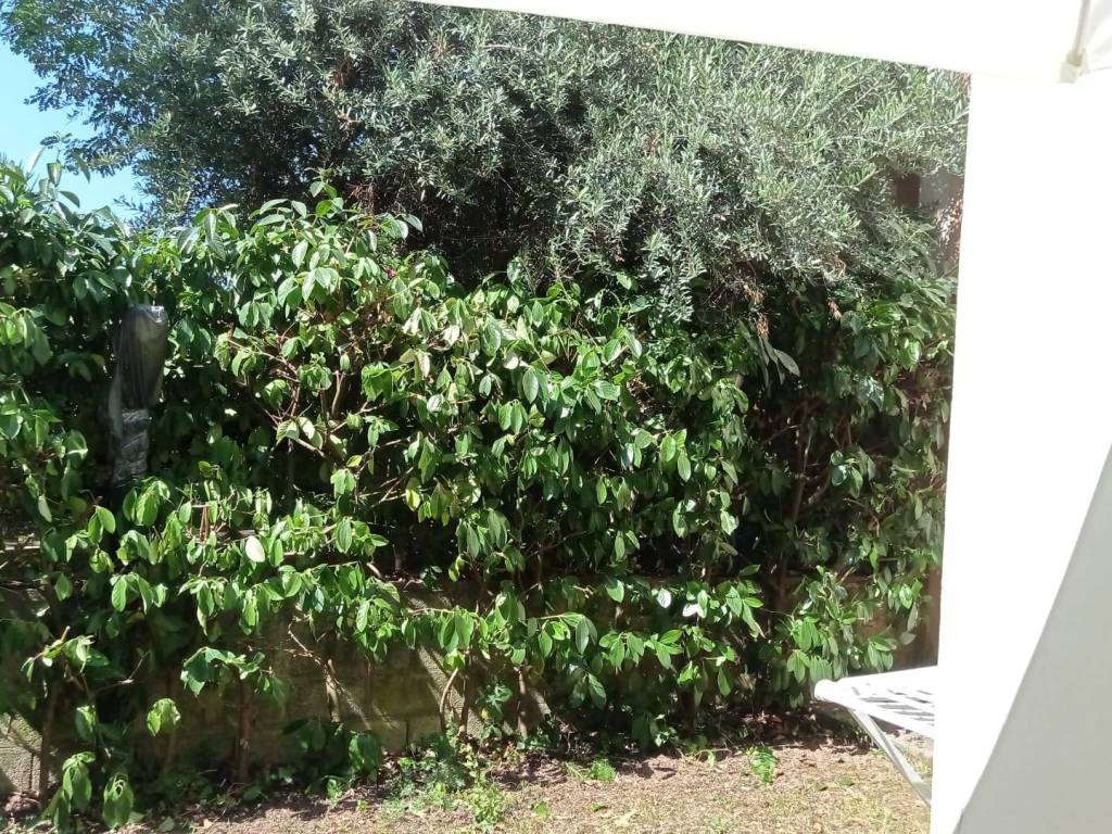 Appartamento a Praia a mare in Via Fratelli Cervi - Foto 3