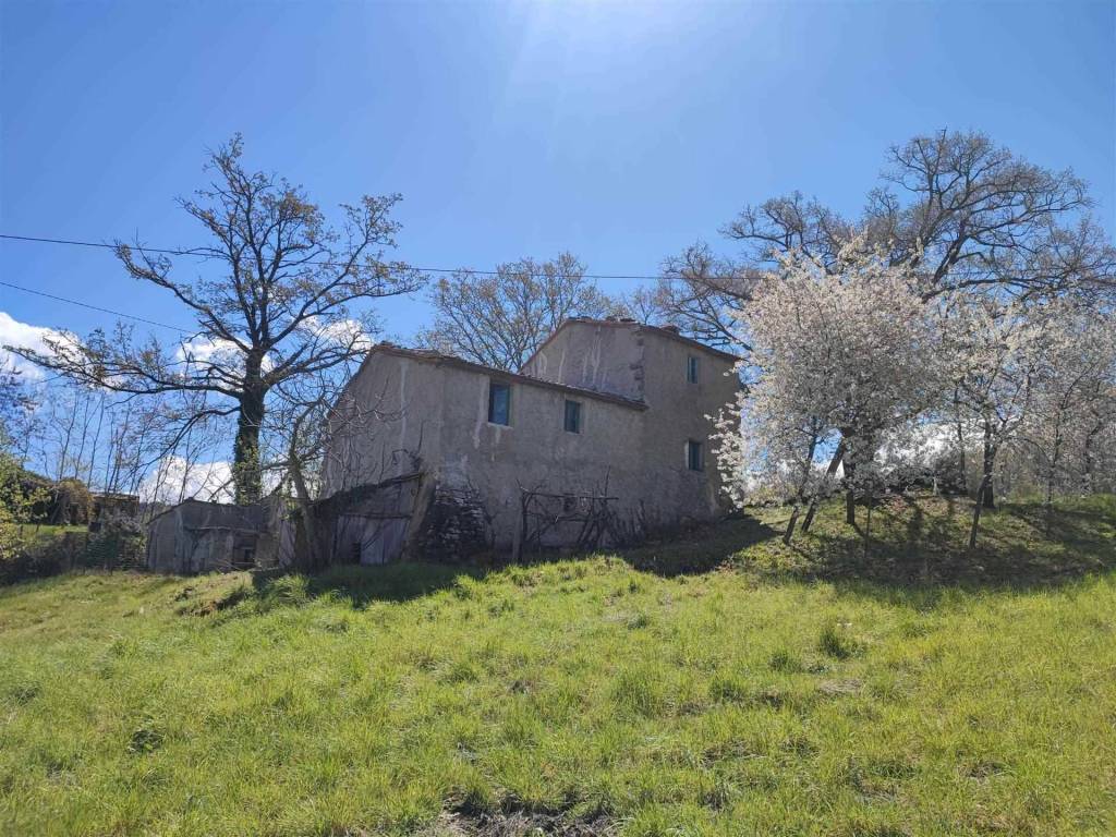 Rustico / casale a Seggiano in Le Capanne - Foto 2