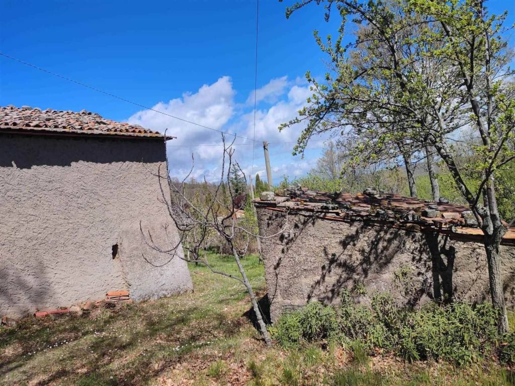 Rustico / casale a Seggiano in Le Capanne - Foto 4