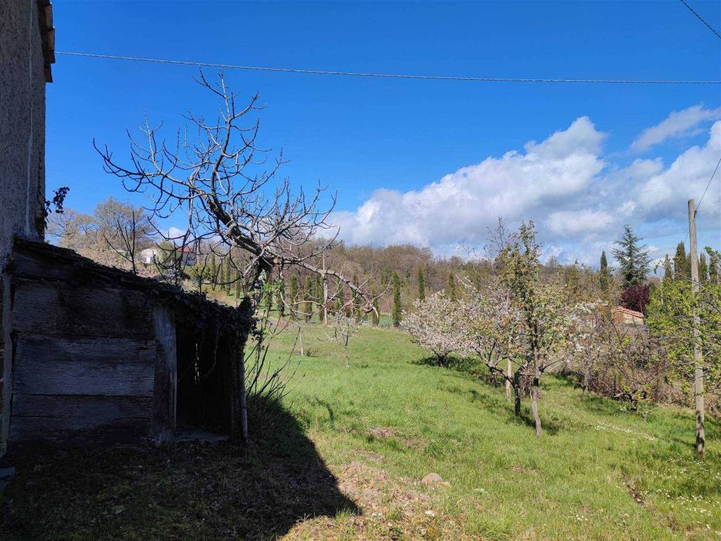 Rustico / casale a Seggiano in Le Capanne - Foto 5