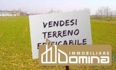 Terreno a Castelfidardo - Foto 3