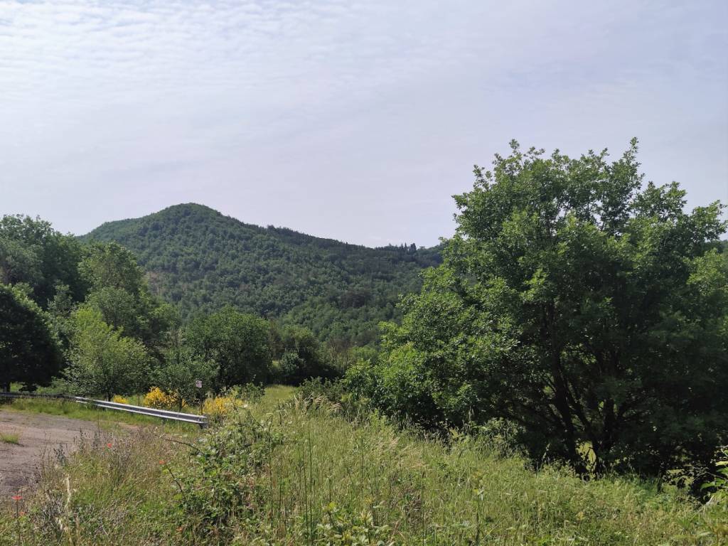 Terreno a Monte santa maria tiberina - Foto 3