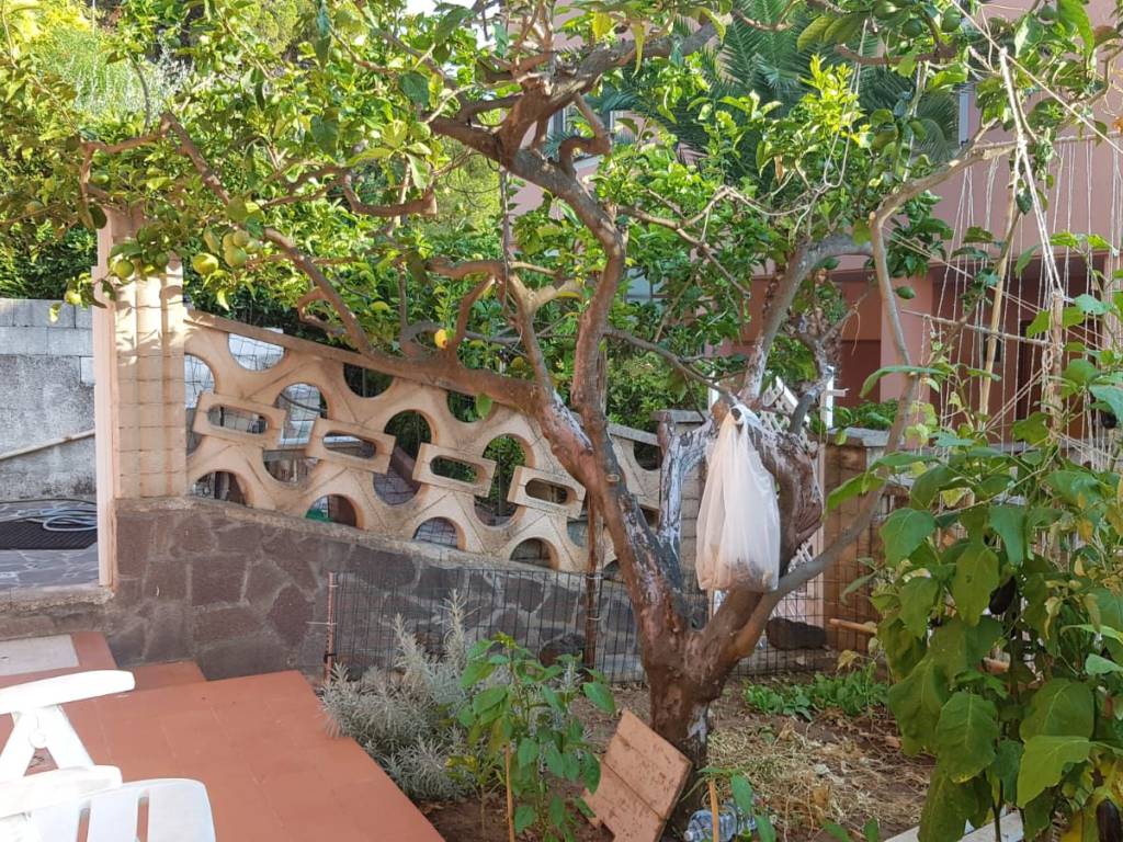 Villa a Maratea in SS18 - Foto 3