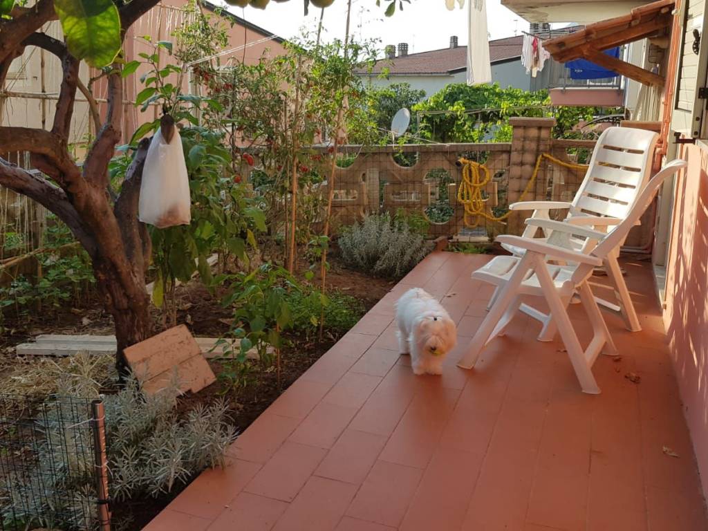 Villa a Maratea in SS18 - Foto 4