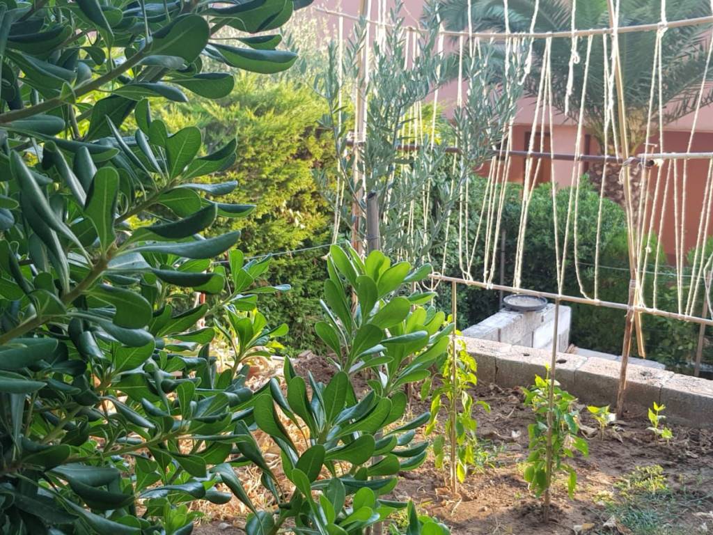 Villa a Maratea in SS18 - Foto 5