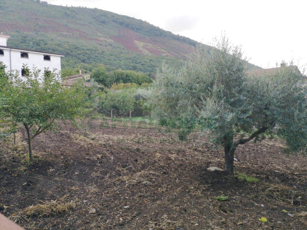 Terreno a Sant'agata de' goti - Foto 3