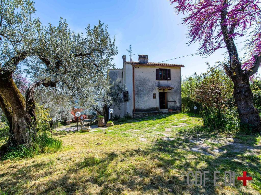 Rustico / casale a Toffia in Località Pecorini - Foto 5