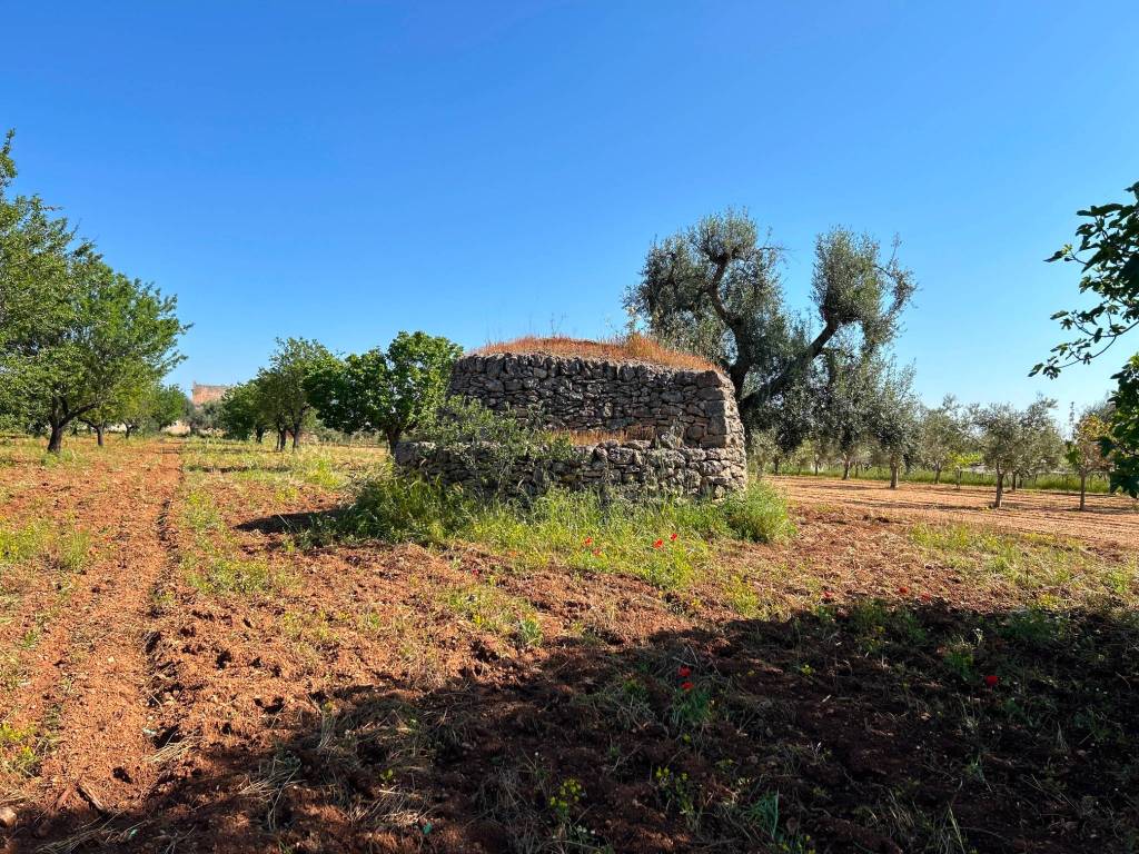 Rustico / casale a Grottaglie - Foto 2