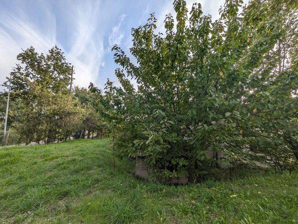 Villa a Pietrelcina in Via San Giuseppe - Foto 4