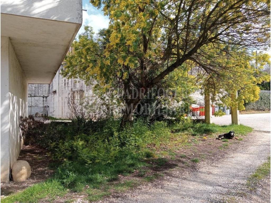 Appartamento a Ceccano in Via San Giuseppe, 75 - Foto 3