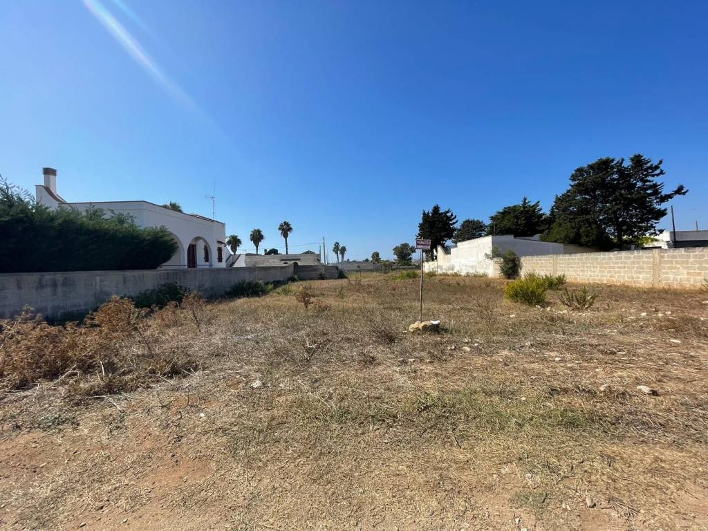 Terreno a Porto cesareo - Foto 2