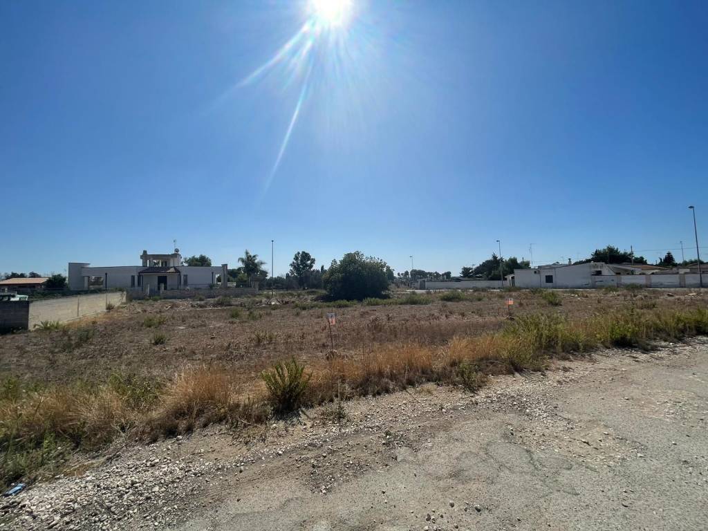 Terreno a Porto cesareo - Foto 3