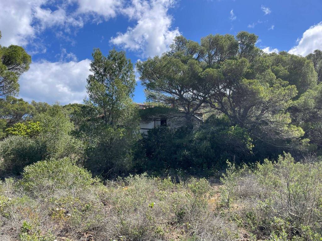 Villa a Carloforte - Foto 4
