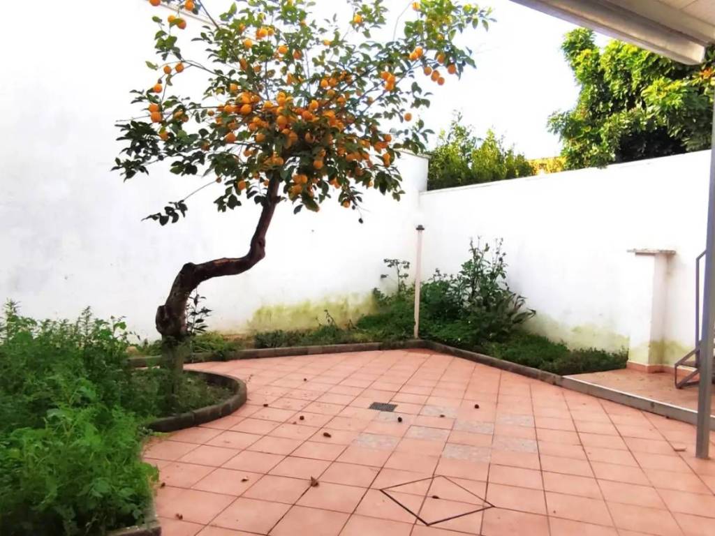 Casa indipendente a Salice salentino in Via Capitano Innocente - Foto 2