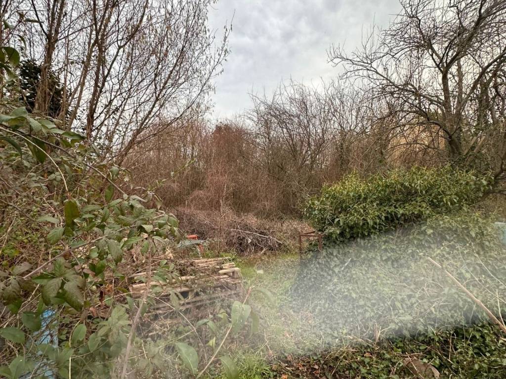 Terreno a Massa e cozzile in Via Dante Alighieri - Foto 3