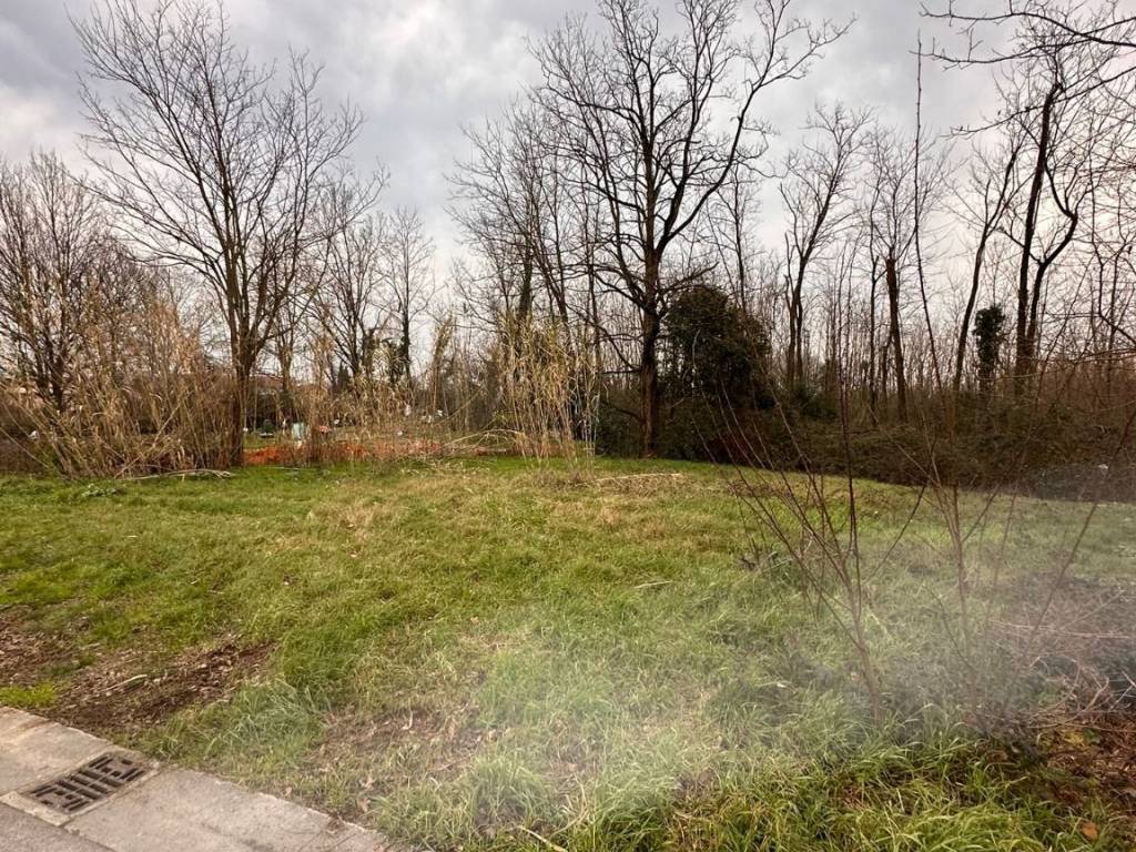 Terreno a Massa e cozzile in Via Dante Alighieri - Foto 4