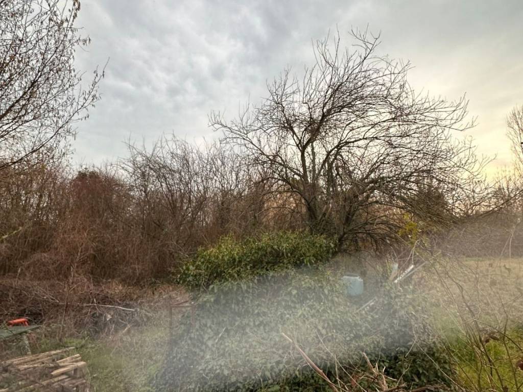 Terreno a Massa e cozzile in Via Dante Alighieri - Foto 5