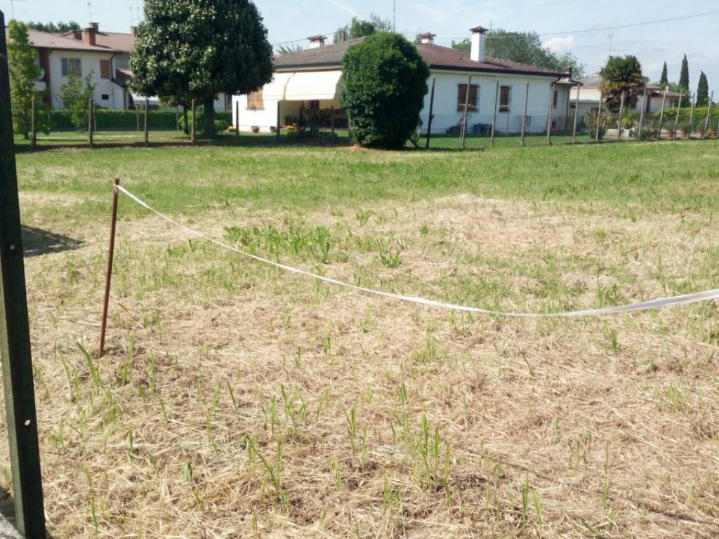 Terreno a Masi - Foto 2