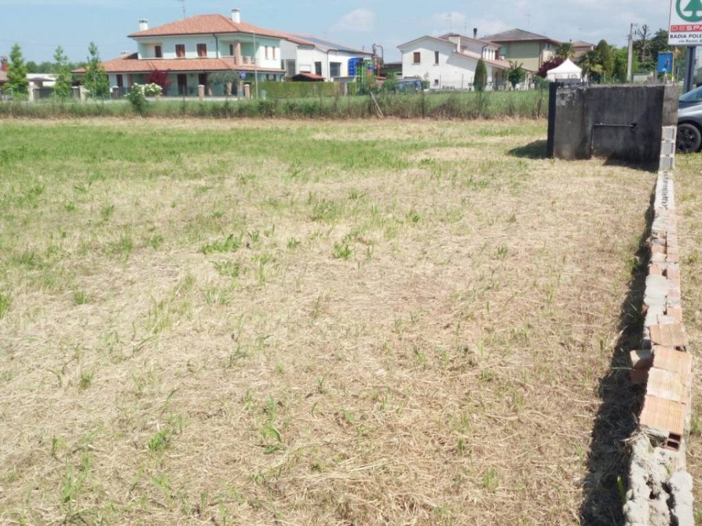 Terreno a Masi - Foto 4