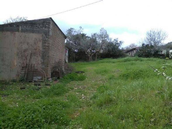 Terreno a Monte romano - Foto 2