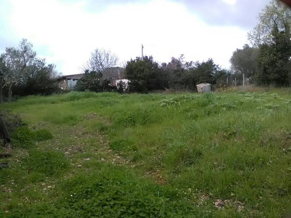 Terreno a Monte romano - Foto 3