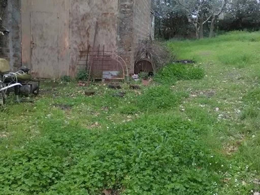 Terreno a Monte romano - Foto 4