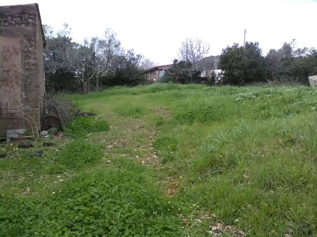 Terreno a Monte romano - Foto 5