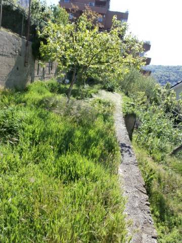 Terreno a Trieste in Via Umberto Felluga - Foto 3