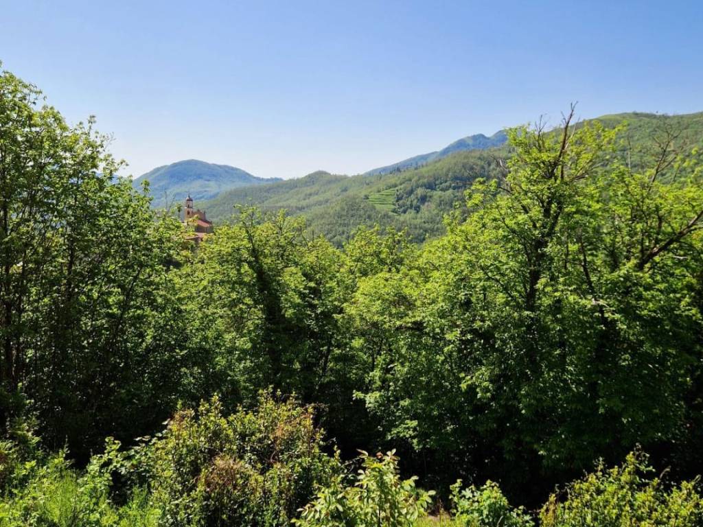 Casa indipendente a Varese ligure in Località Marchesano Cassego, 77 - Foto 3