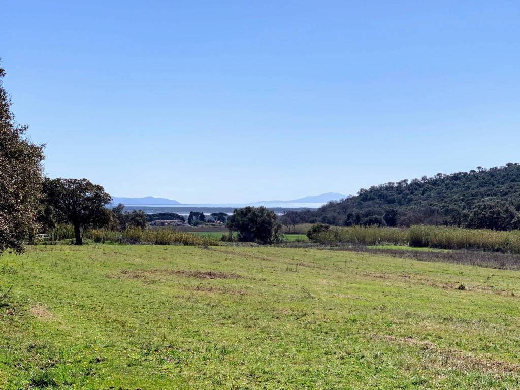 Terreno a Castiglione della pescaia - Foto 2