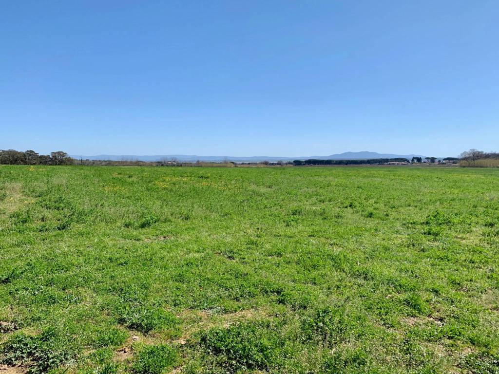 Terreno a Castiglione della pescaia - Foto 3