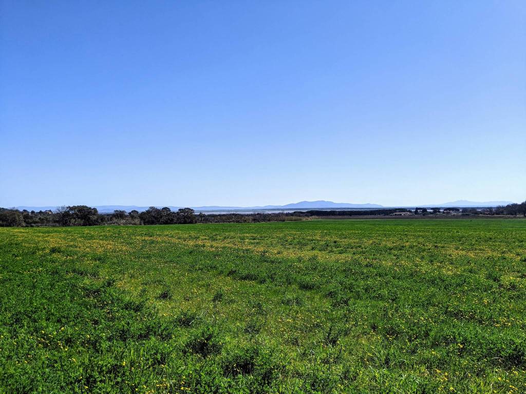 Terreno a Castiglione della pescaia - Foto 5