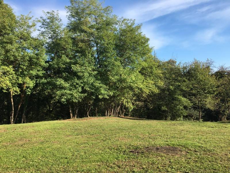 Terreno a Roppolo in Via Salomone - Foto 3