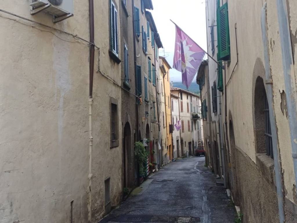 Palazzo / stabile a Castel del piano in Via della Fonte, 4 - Foto 2