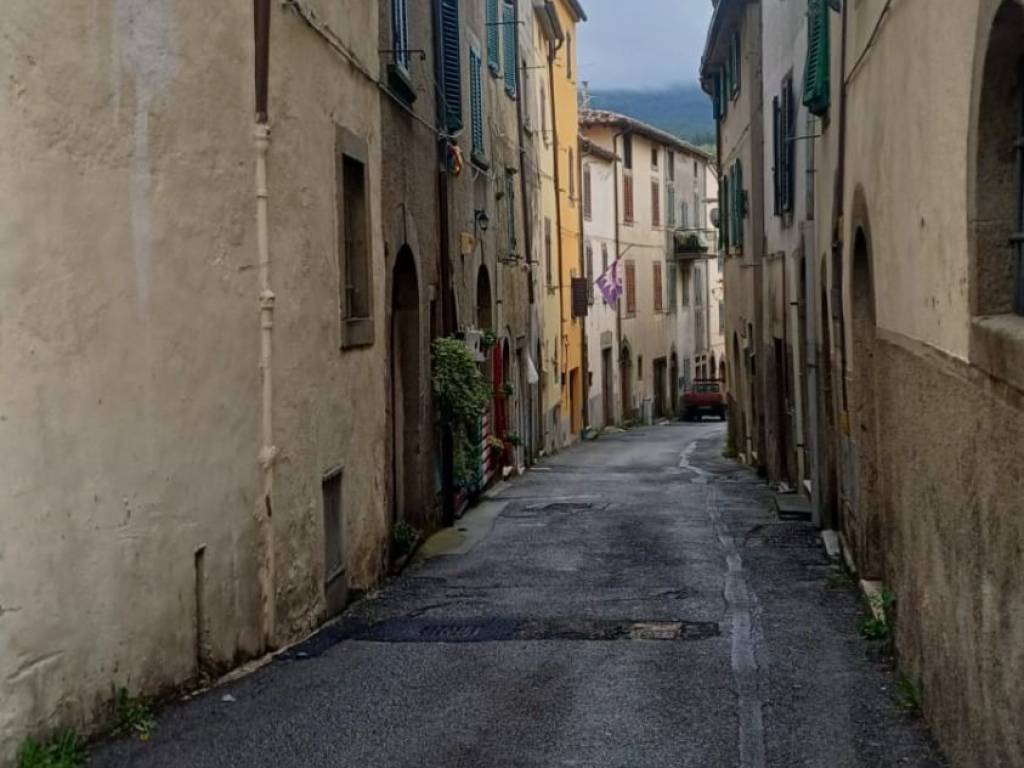 Palazzo / stabile a Castel del piano in Via della Fonte, 4 - Foto 3