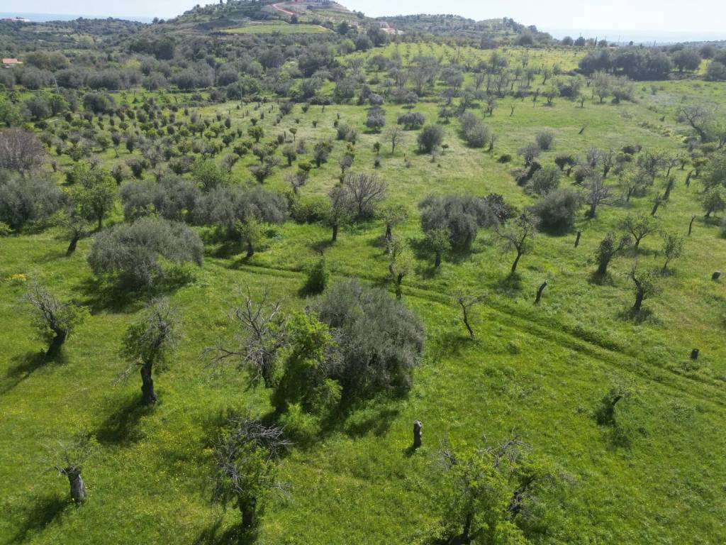 Terreno a Avola - Foto 3