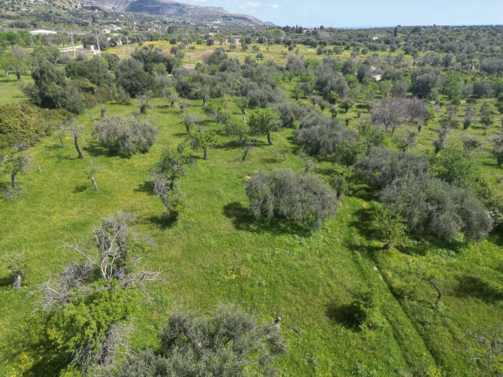 Terreno a Avola - Foto 4