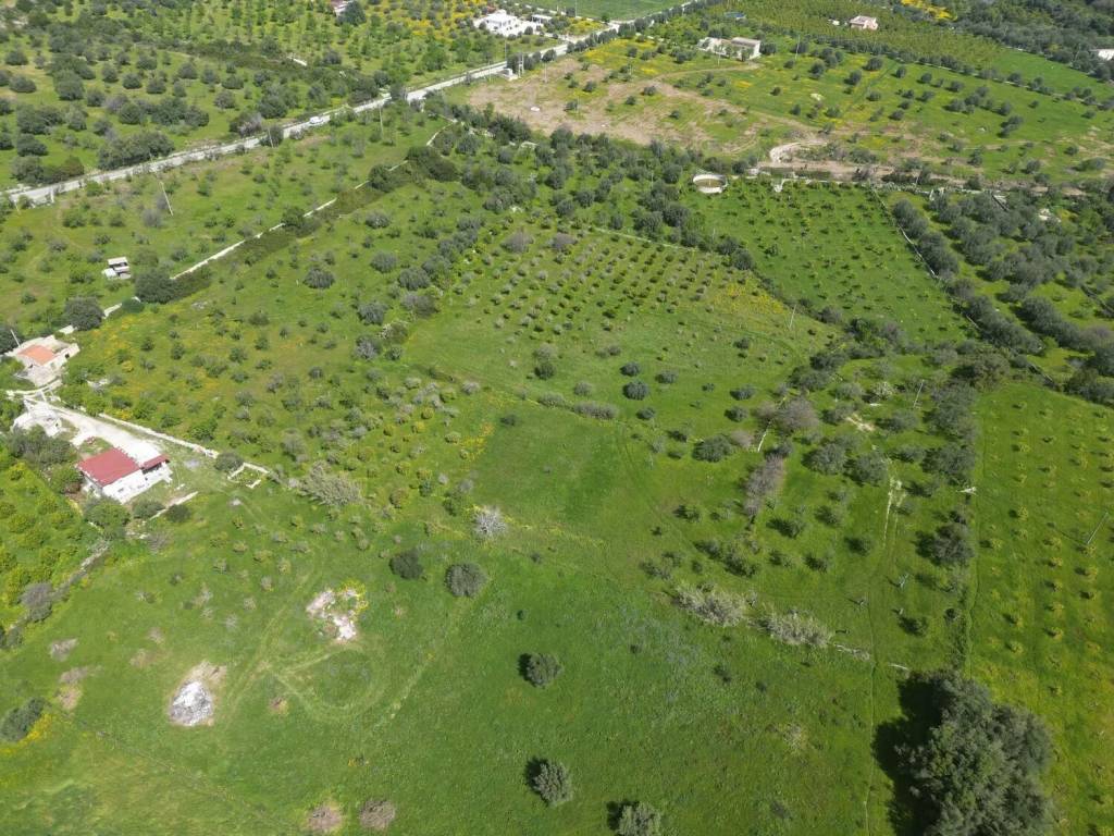 Terreno a Avola - Foto 5