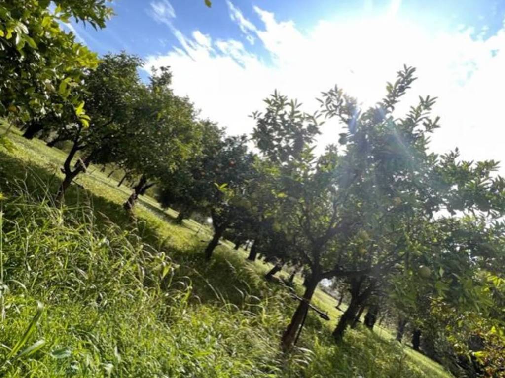 Villa a Avola in Urb. Bellapettinata Chiusa Cavalli - Bochini - Montagna - Foto 3